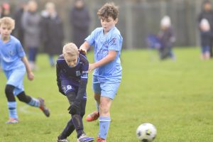 Wolves Vs Tigers P25