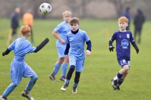 Wolves vs Tigers P23