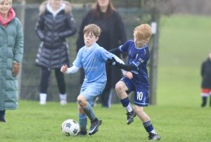 Wolves Vs Tigers P42