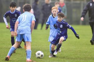 Wolves Vs Tigers P40