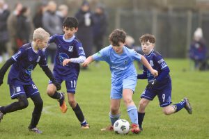 Wolves Vs Tigers P39