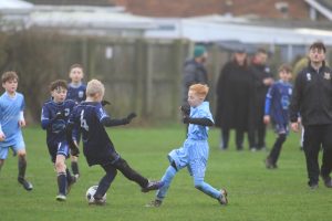 Wolves Vs Tigers P36