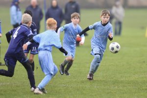 Wolves Vs Tigers P31