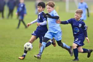 Wolves Vs Tigers P15