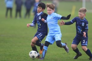 Wolves Vs Tigers P12a