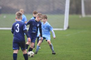 Wolves Vs Tigers P12